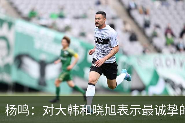 杨鸣：对大韩和晓旭表示最诚挚的感谢和尊重